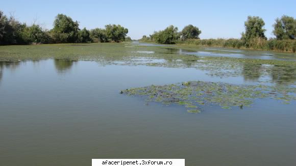 delta dunarii este declarata monument al naturii, cea mai mare si mai bine conservata dintre deltele